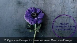 2. Сура аль-Бакара / Чтение корана / Саад аль-Гамиди / между чрезмерностью и упущением