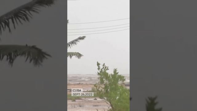 Heavy winds shaking palm trees, massive waves hitting dock as Hurricane Ian lashes Cuba