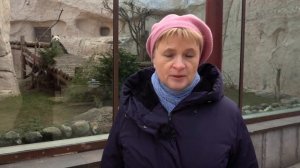 #Москвастобой - Обзорная экскурсия по Московскому зоопарку