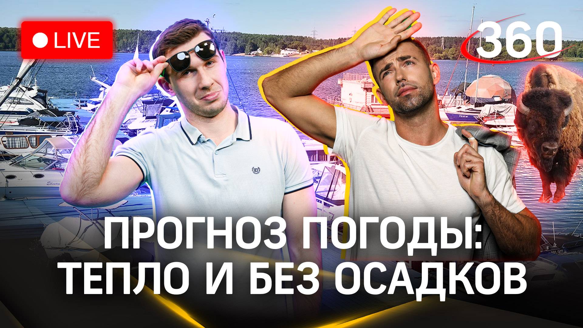 Метеострим 360. Прогноз погоды из яхт-клуба | Шубенков. Илич