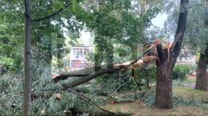 Последствия стихии: Санкт-Петербург пережил сильнейший ураган