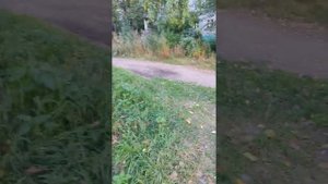 странный мужик срёт за гаражами и перемещается