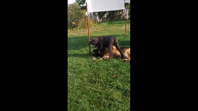 Наша Мэри. Полгода вместе. Сплошной позитив :) смотреть онлайн