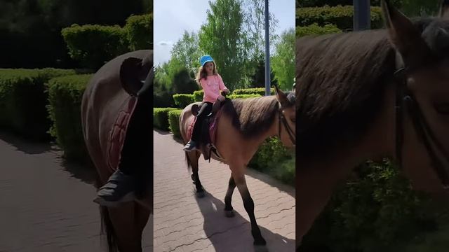 Лошадка #лошади #конныепрогулки #прогулка