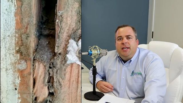 Termite and Dry Rot Repair | 2 Tips to Avoid Them смотреть онлайн