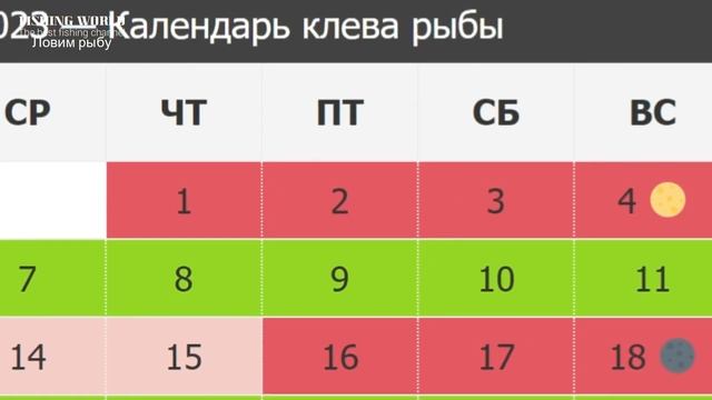 Прогноз клева рыбы на июнь 2024г