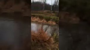Ленд Ровер Дискавери 1 переезжает брод