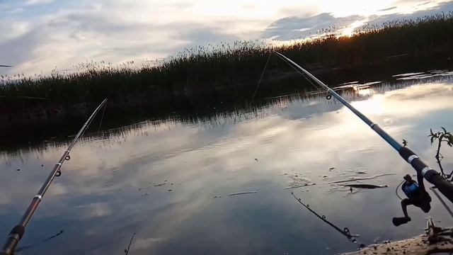 Рыбалка на реке "Оскол".10.06.2021.?