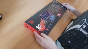 Отзывы на покупку мышки  и клавиатура A4Tech Bloody B810R USB в Плеер.Ру (поменял музыку)