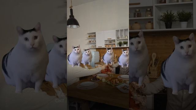 Мак карты - доступный метод Познания Каждому смотреть онлайн