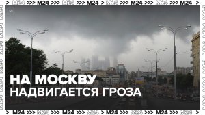 Московских водителей призвали не парковаться под деревьями из-за грозы 27 апреля - Москва 24