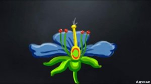 Строение цветка| Биология