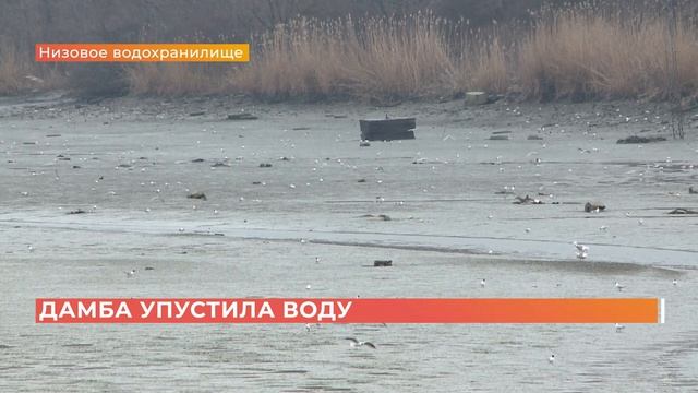 Рыбаки воспользовались аварией на Северном водохранилище и начали ловить рыбу руками смотреть онлайн