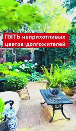 🌼ЦВЕТУТ до 100 лет без пересадки