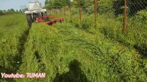 Первый покос Люцерны в 2022году.