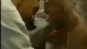 38 Бастер Даглас Тайсон