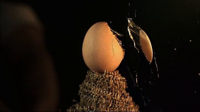 Как срезать верхушку с яйца www.warpvideo.ru смотреть онлайн