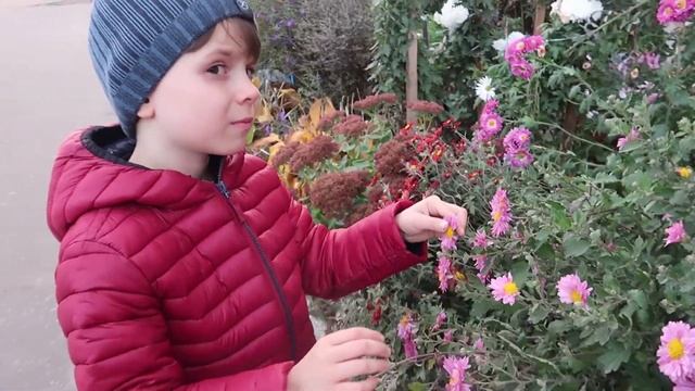 день ПОЦЕЛУЕВ // ВЛАД РОМАНТИК // Осенняя прогулка // Аутизм // Autism смотреть онлайн