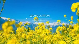 Музыка для создания приятной спокойной атмосферы, романтичного настроения, удовольствия.