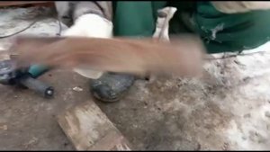 Сделали стремянку-лестницу своими руками |2 в 1| как сэкономить 10к