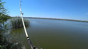 Ловля карася на донки. Бешенный клев карася на снасть убийца карася. Рыбалка на карася