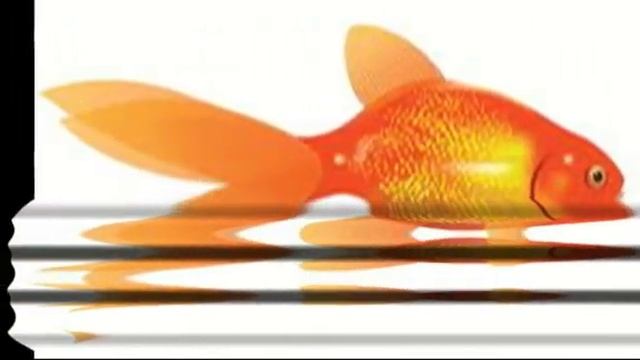 Почему у лягушки нет хвоста смотреть онлайн