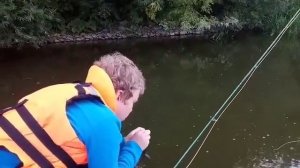 Ловля голавля на Дону на нахлыстовую снасть, август 2020