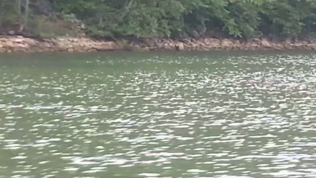 Нугуш прогулка на катере смотреть онлайн