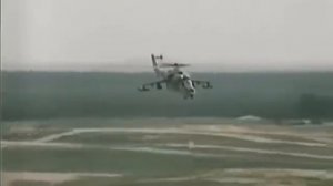 Птичка ласточка