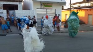 Carnaval Fora de Época (Ala Ursa Acorda Várzea Nova)
