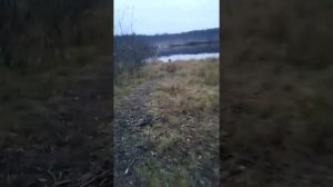 ТОПИЧЕСКОЕ ОЗЕРО Павлово-Посадский район