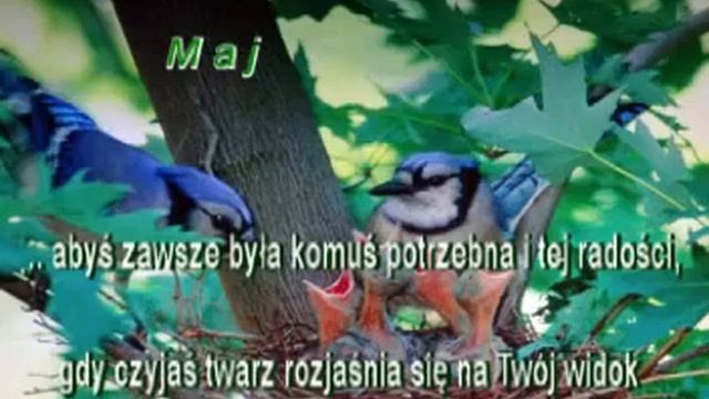 4 августа 2019 г. смотреть онлайн