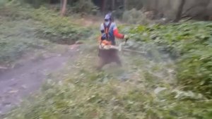 STIHL FS 560 C-EM VS HUSQVARNA 555