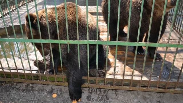 ОРЛОВСКОЕ ПОЛЕСЬЕ ТОП-5 достопримечательностей национального парка Орловская область