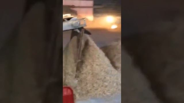 Работа шредера ,щепа для арболита , Арболит Юг