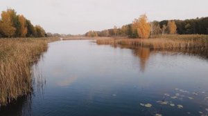 ароматизаторы для рыбалки своими руками. РЫБА СХОДИТ С УМА ОТ ТАКОЙ НАСАДКИ!