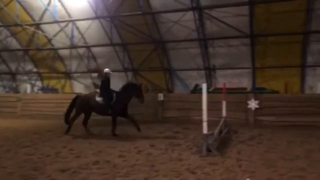 Первый раз прыгаю конкур )))) смотреть онлайн