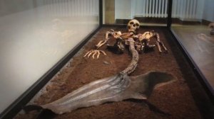 5 НАСТОЯЩИХ РУСАЛОК, Снятых НА КАМЕРУ!!!