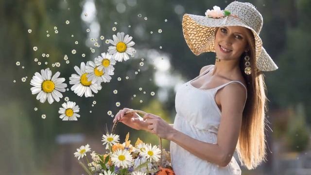 Букет ромашек. смотреть онлайн