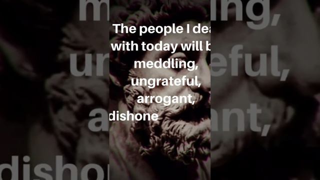 Stoic quote for a strong mind- MarcusAurelius Meditations #thinkforyourself #good #evil #faith #lif смотреть онлайн