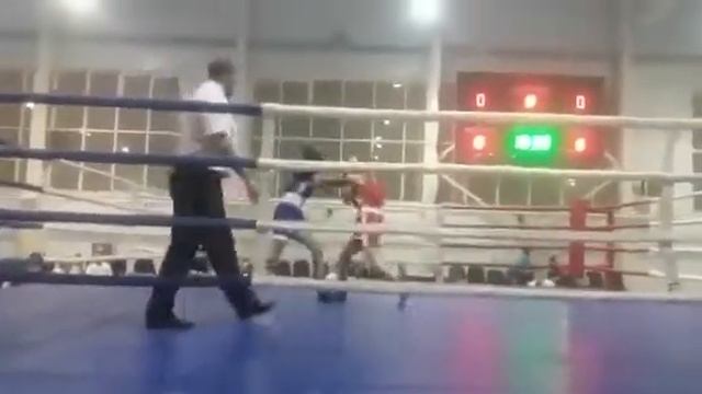 Первенство ЦФО по боксу. Ника день 1 смотреть онлайн