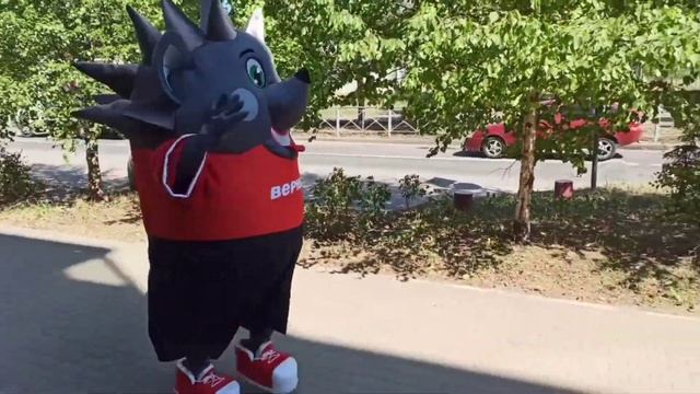 Ростовая кукла Ëжик Верный для проведения рекламных промоакций сети магазинов смотреть онлайн