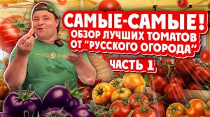 САМЫЕ-САМЫЕ! Обзор Лучших томатов от "Русского Огорода" Часть1