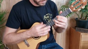 Sophia Ukulele Tenor Soundwave Sound Demo by Jan Haasler