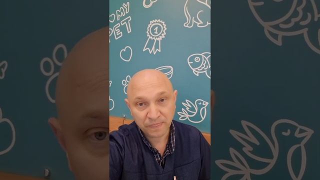 Породи от которых чаще всего отказаться владельцы @zoovetdoctor  #Zoovetdoctor #ушаковдмитрий смотреть онлайн