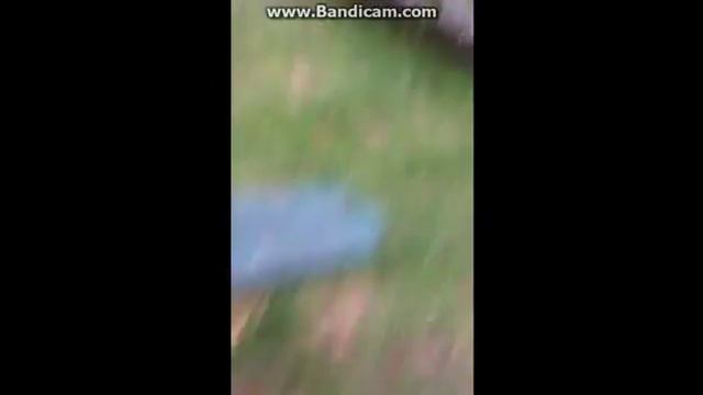 Панас-Панас на чём стоишь?