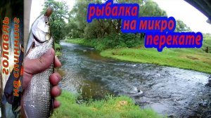 Ловля голавля, жереха на микро-перекате спиннингом.