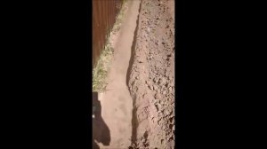 копка траншеи под кабель 1