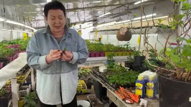 Вырастил, как продать? Личный бренд.