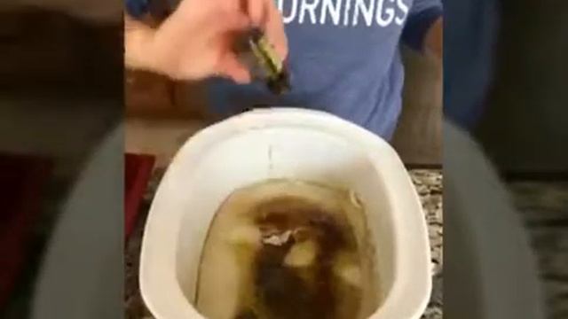 Make your own Shampoo Bars (DIY) смотреть онлайн